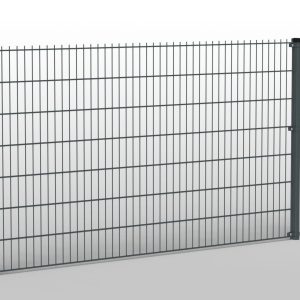 Panel 2D 6/5/6 Grafit / RAL7016